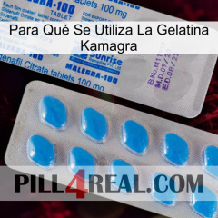 Para Qué Se Utiliza La Gelatina Kamagra new15